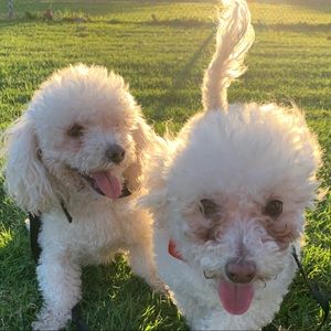 Meet your Posher, Vale